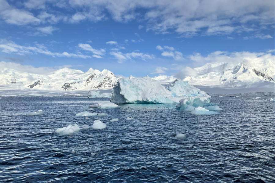 Croisière : VIDEO Antarctique